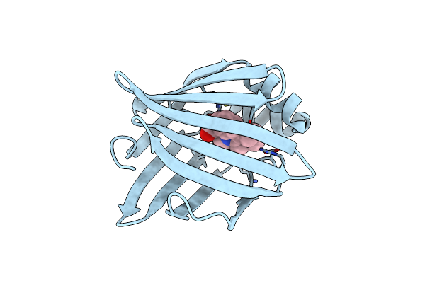 3FR5 image