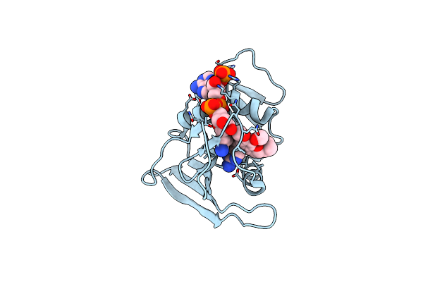 3FRF image