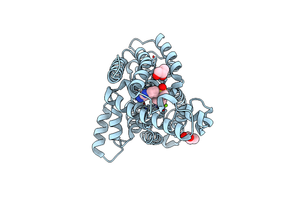 3FRG image