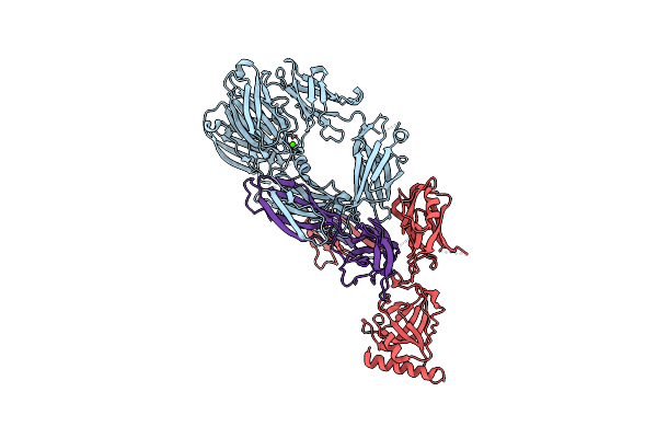 3FRP image