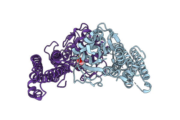 3FSE image