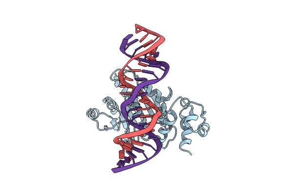3FTE image