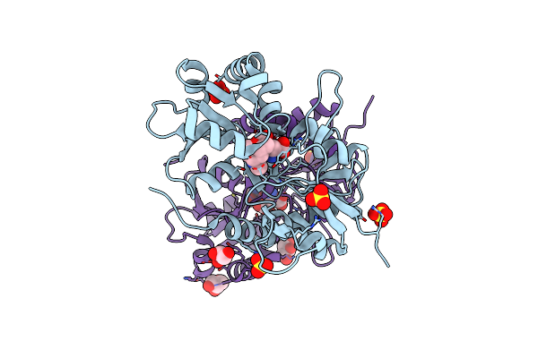 3FV1 image