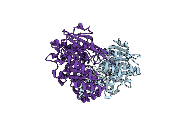 3FVD image