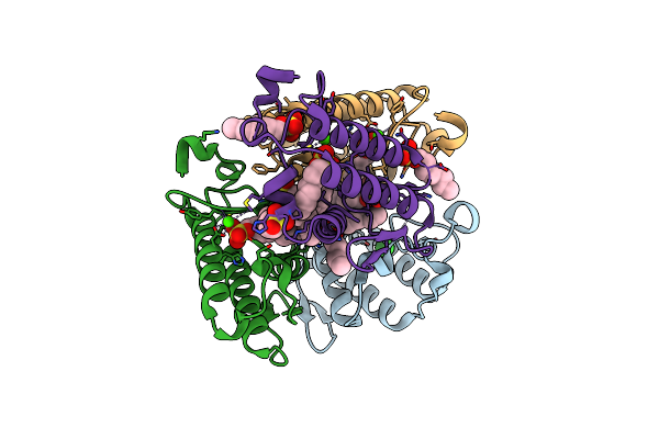 3FVI image