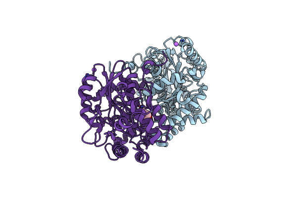 3FVS image