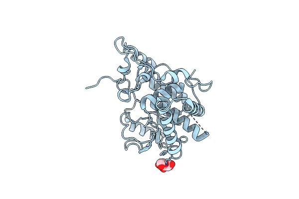 3FWK image