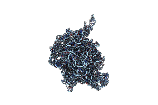 3FWO image