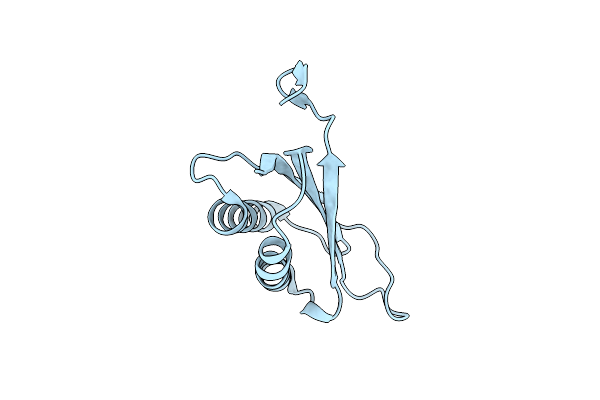 3FWT image