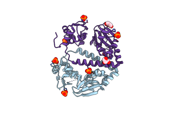 3FX3 image