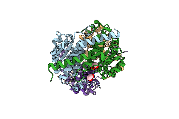 3FXA image