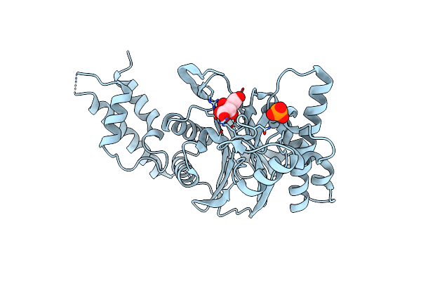 3FXM image