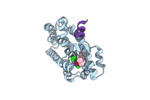 3FXV image