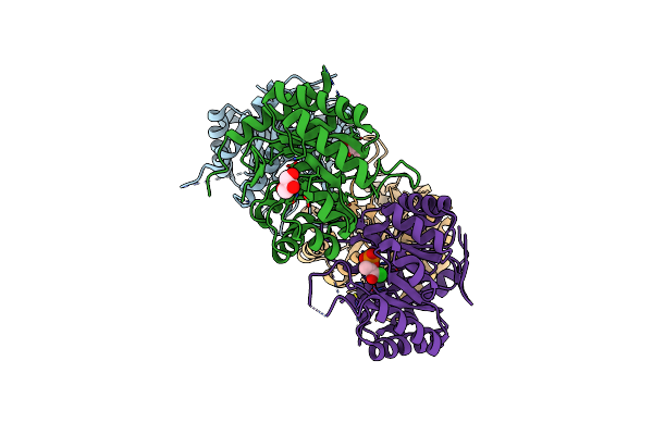 3FYP image
