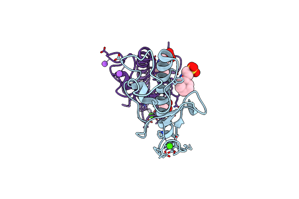 3G20 image