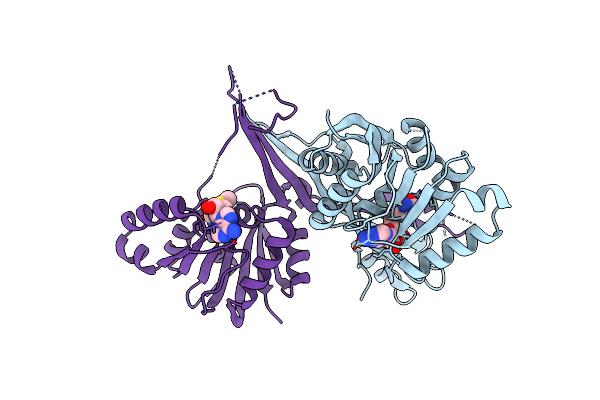 3G2O image