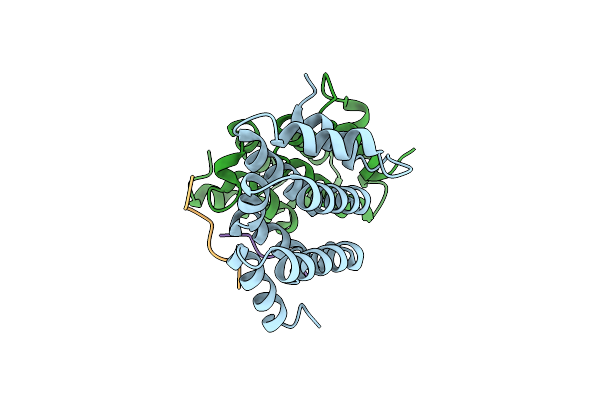3G2V image