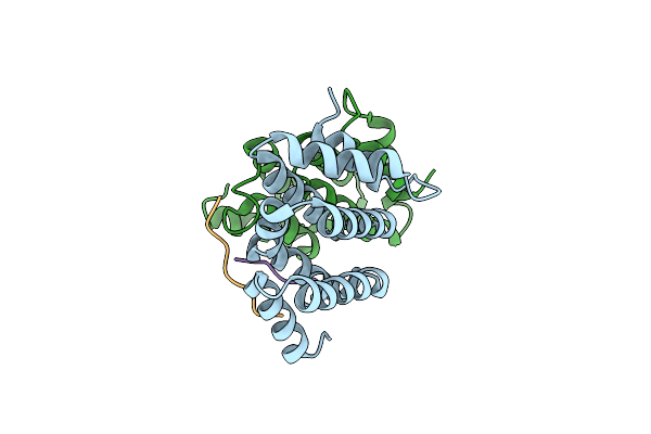 3G2W image