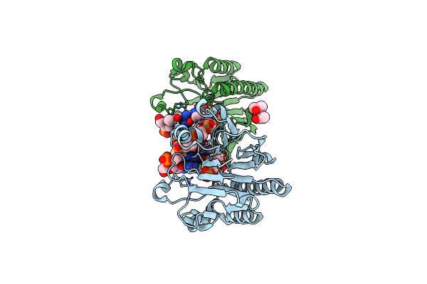 3G3C image