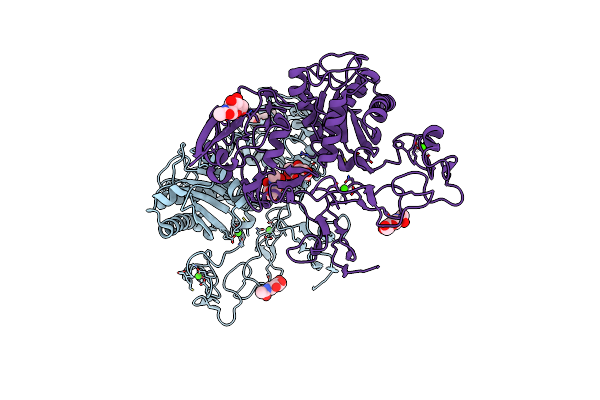 3G5C image