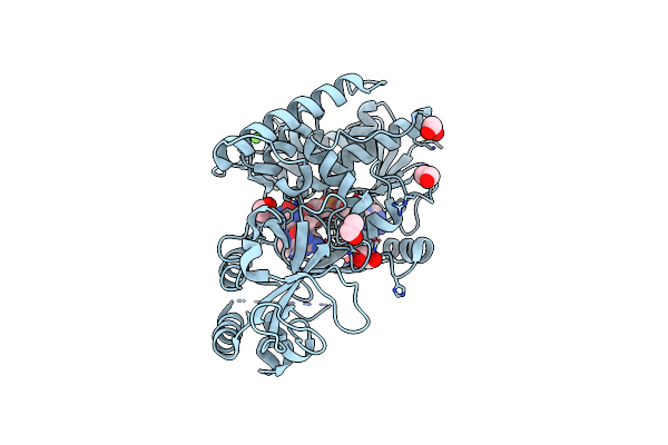 3G5R image
