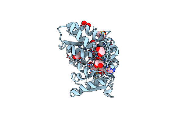 3G5T image