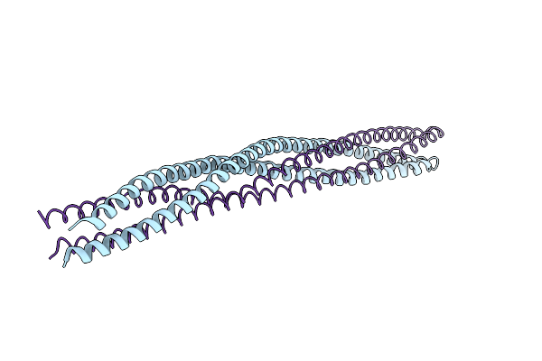 3G6B image