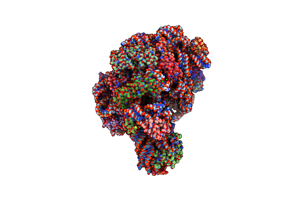 3G6E image