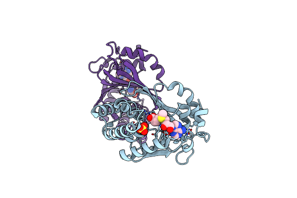 3G8B image