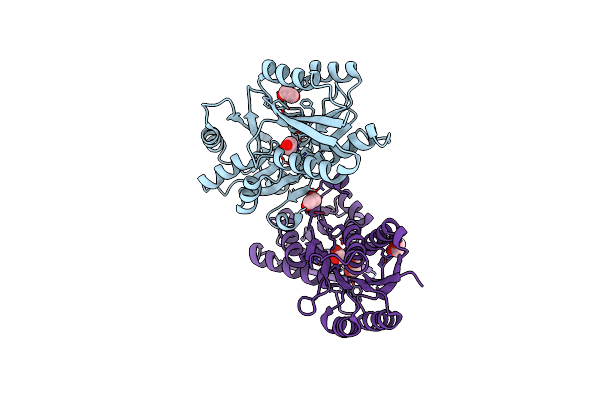 3GBV image