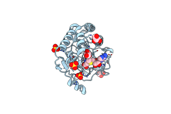 3GCZ image