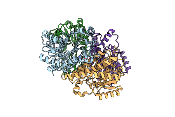 3GDF image