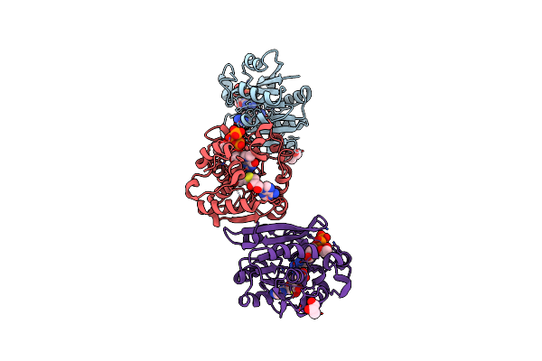 3GDH image