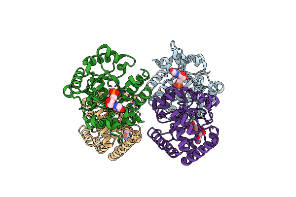 3GDT image