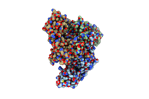 3GDV image