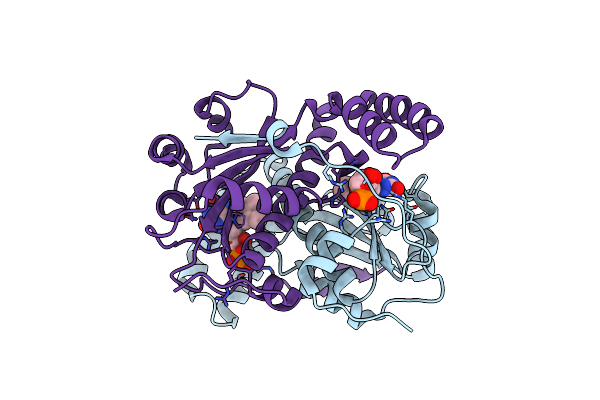 3GE6 image