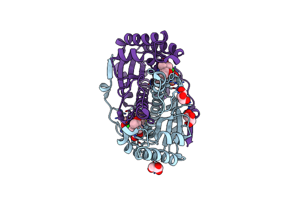 3GFA image