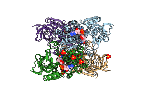 3GFB image