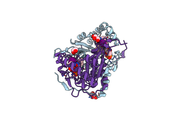 3GFD image