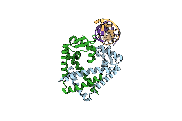 3GFI image