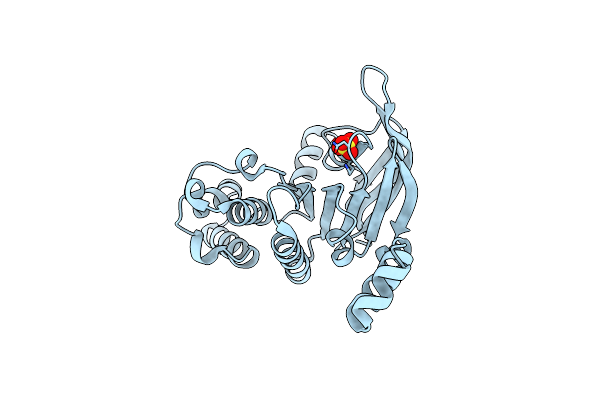 3GFO image
