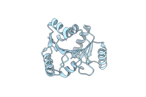 3GFP image