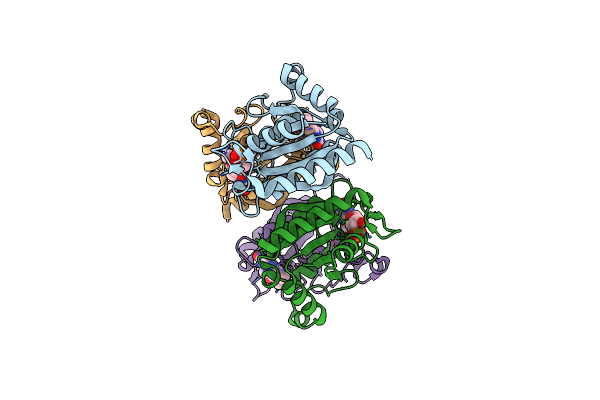3GFR image