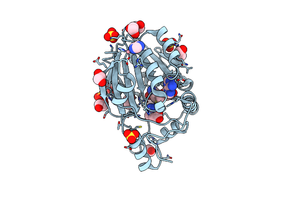 3GGD image