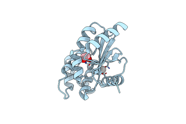 3GHA image