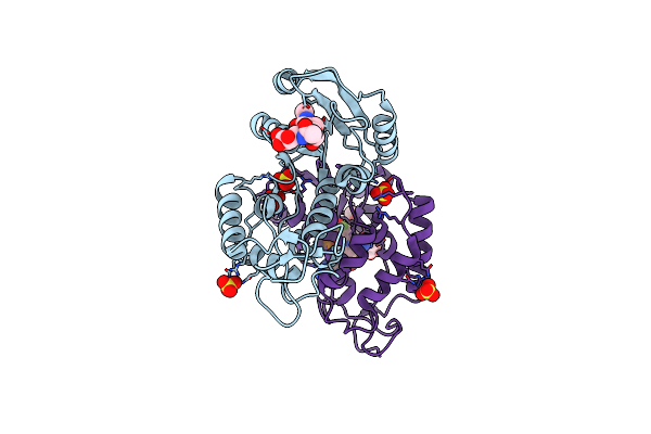 3GHH image
