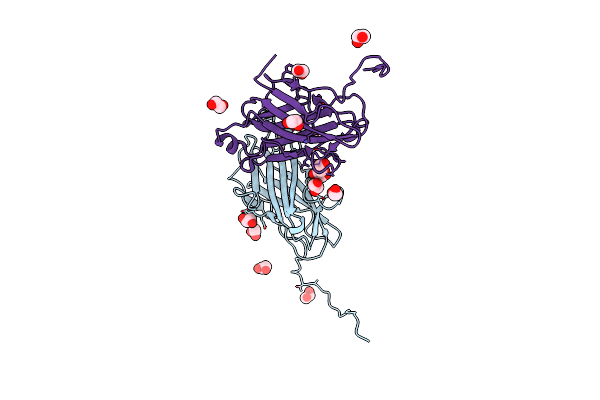 3GHP image