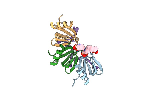 3GIB image