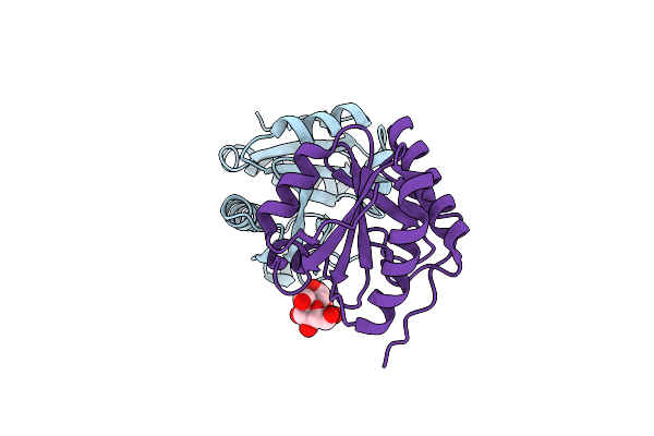 3GIX image