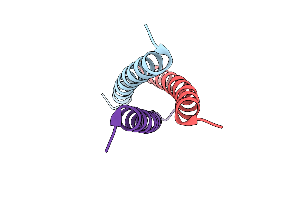3GJP image